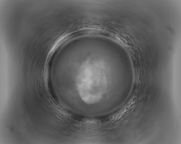 X0000113340199200909151138