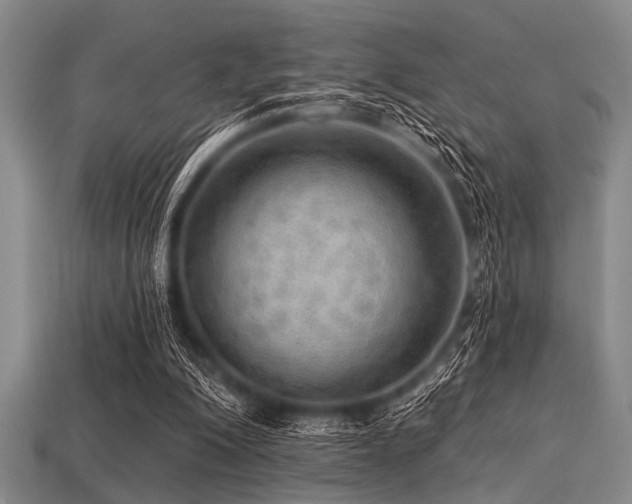 X0000113340200200909151138