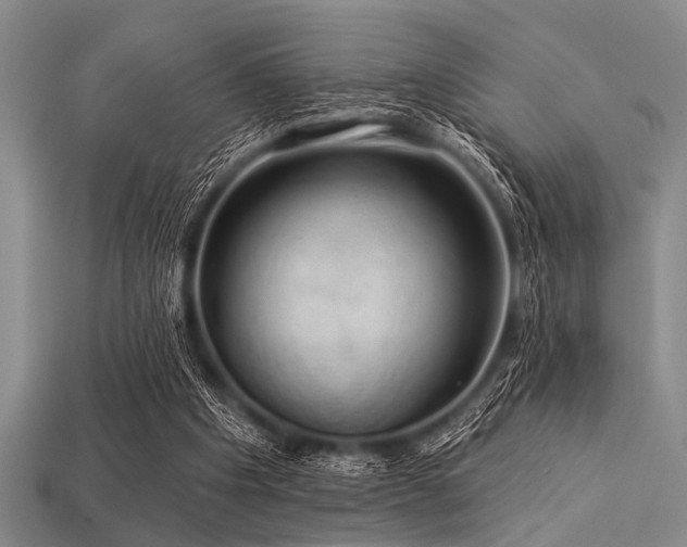 X0000113340201200909151138