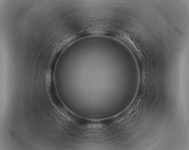 X0000113340202200909151138