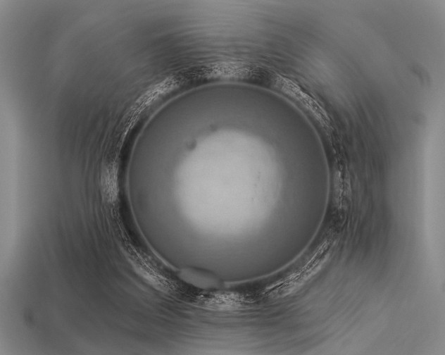 X0000113340203200909151138