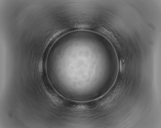 X0000113340204200909151138