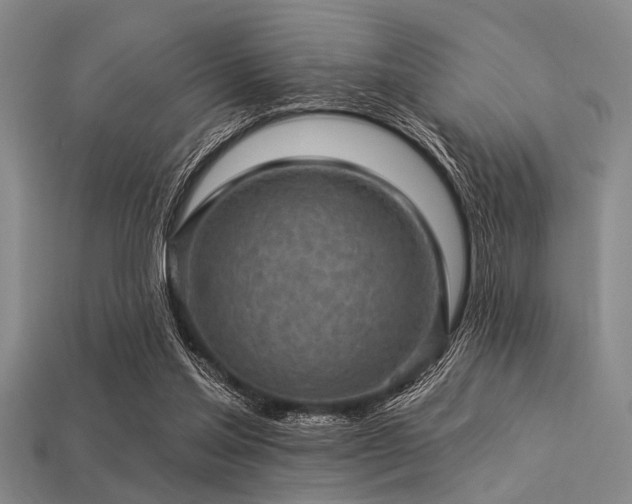 X0000113340205200909151138