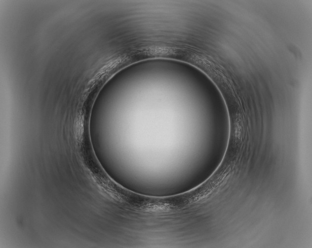 X0000113340206200909151138