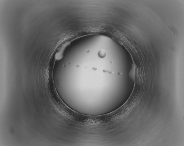X0000113340207200909151138