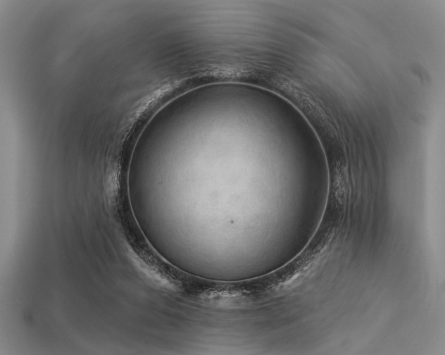 X0000113340208200909151138