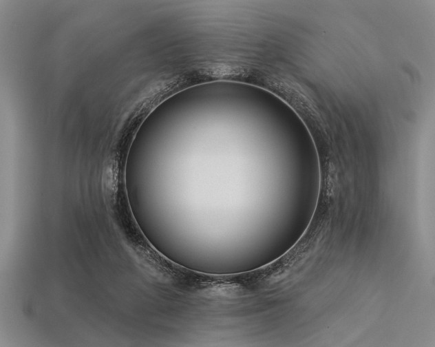 X0000113340210200909151138