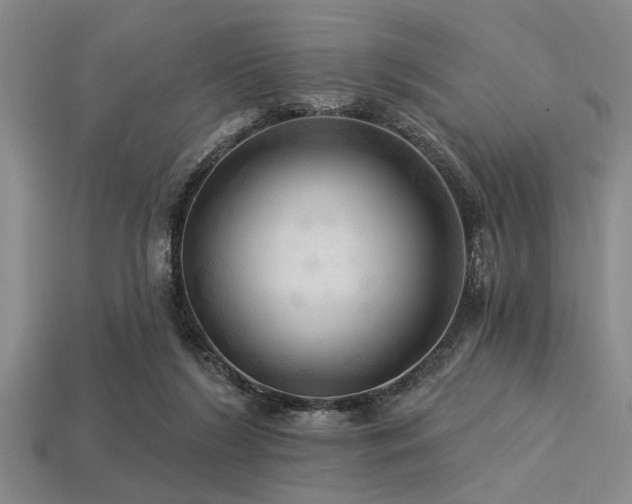 X0000113340212200909151138