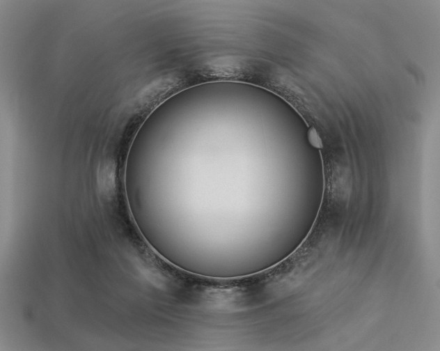 X0000113340213200909151138