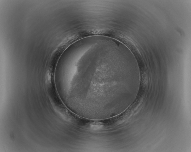 X0000113340214200909151138