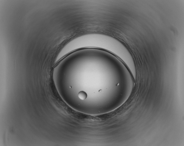 X0000113340215200909151138