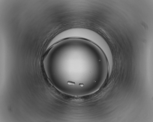 X0000113340217200909151138