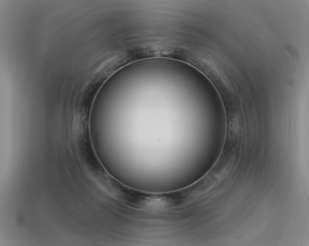 X0000113340218200909151138