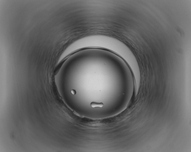 X0000113340219200909151138