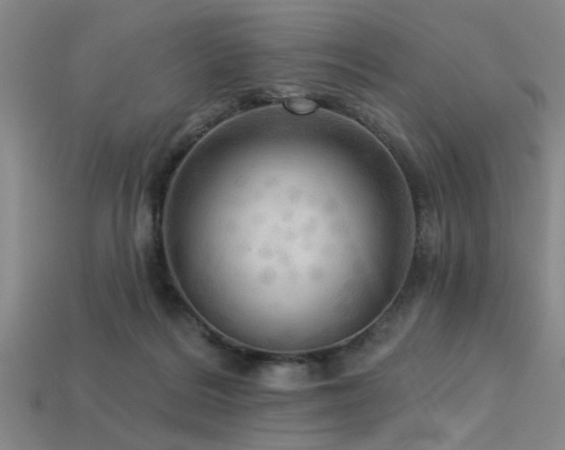 X0000113340220200909151138