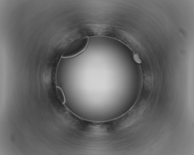 X0000113340221200909151138