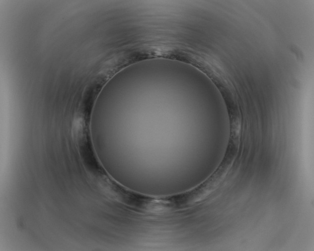 X0000113340222200909151138