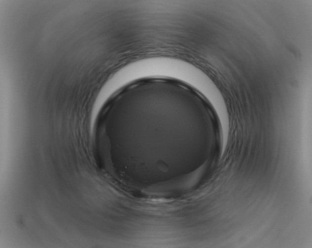 X0000113340223200909151138