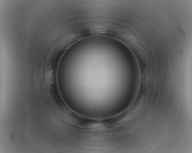 X0000113340224200909151138