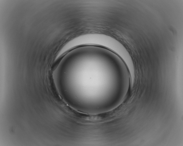 X0000113340225200909151138