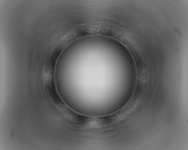 X0000113340226200909151138