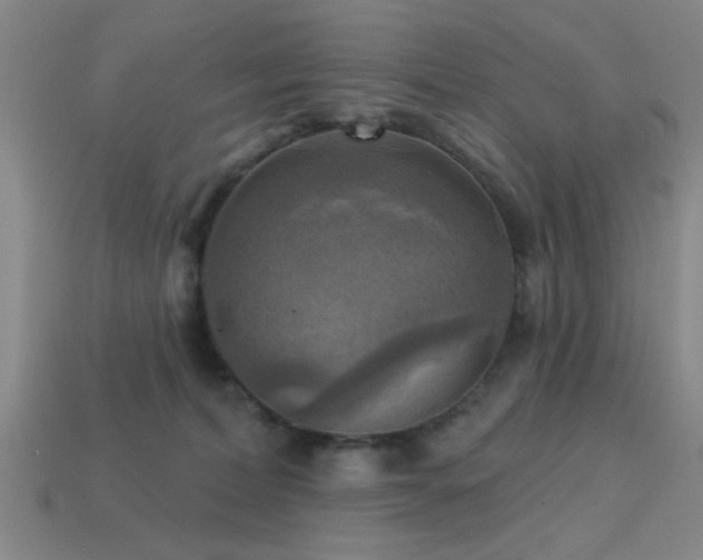 X0000113340228200909151138