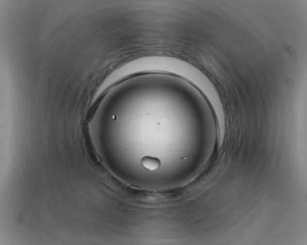 X0000113340229200909151138