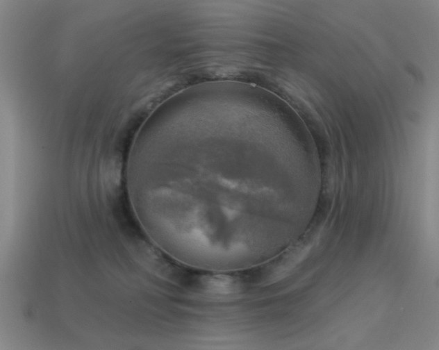 X0000113340230200909151138