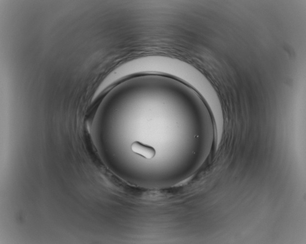 X0000113340231200909151138