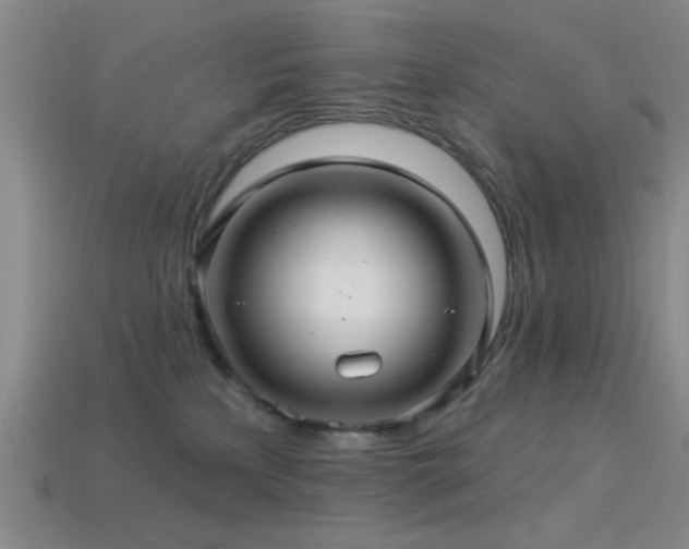 X0000113340233200909151138