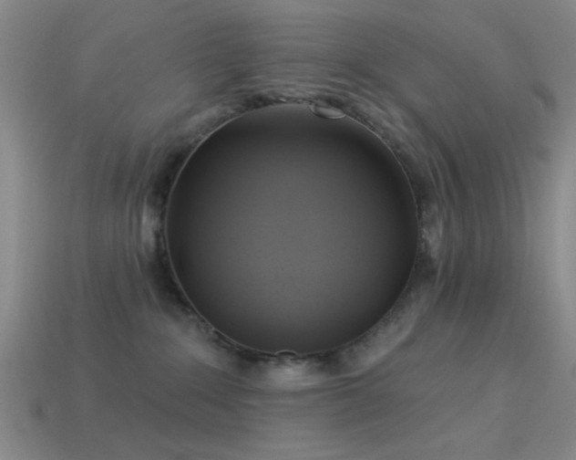 X0000113340235200909151137