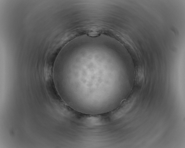 X0000113340236200909151137