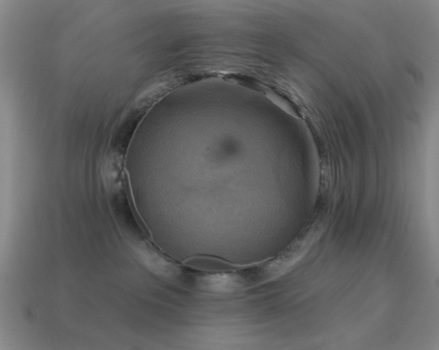 X0000113340237200909151137