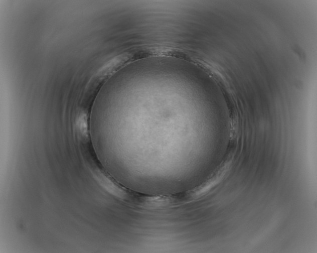 X0000113340238200909151137