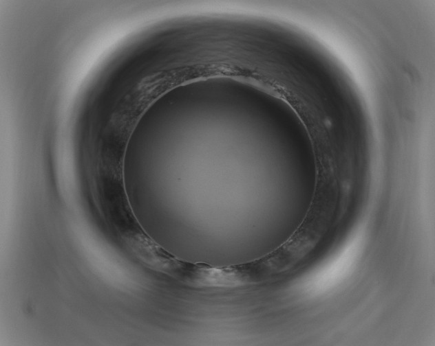 X0000113340239200909151137