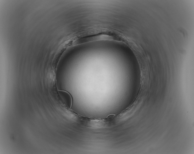 X0000113340240200909151137