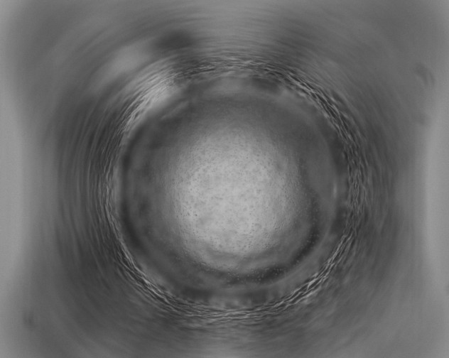 X0000113340242200909151137