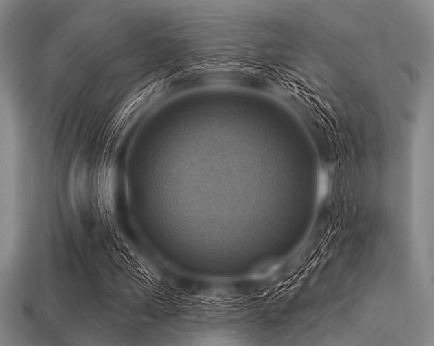 X0000113340243200909151137