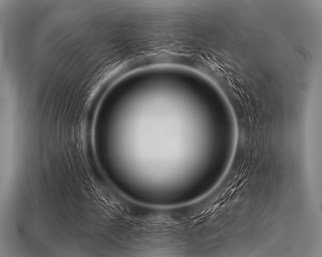 X0000113340244200909151137