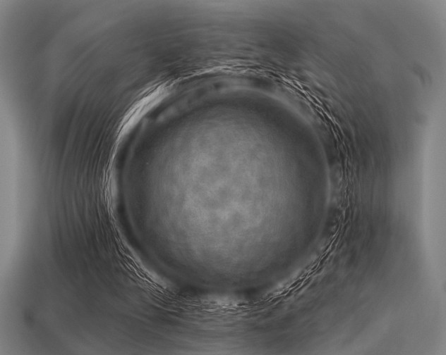 X0000113340245200909151137