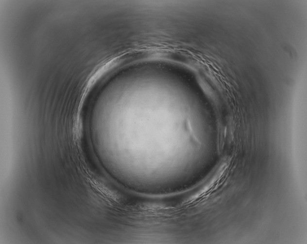 X0000113340246200909151137
