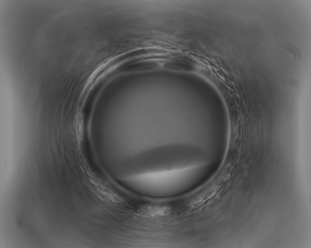 X0000113340247200909151137
