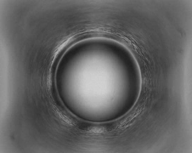 X0000113340248200909151137