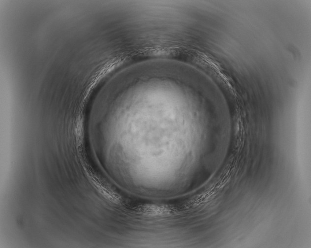 X0000113340250200909151137