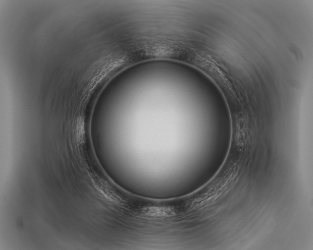 X0000113340251200909151137