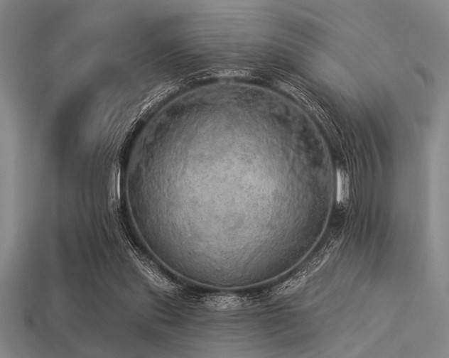 X0000113340253200909151137