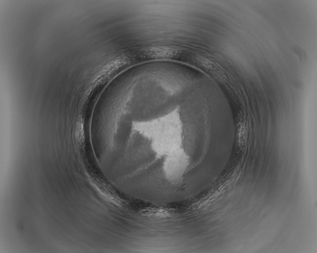 X0000113340254200909151137