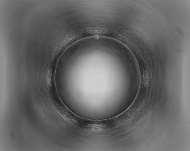 X0000113340255200909151137