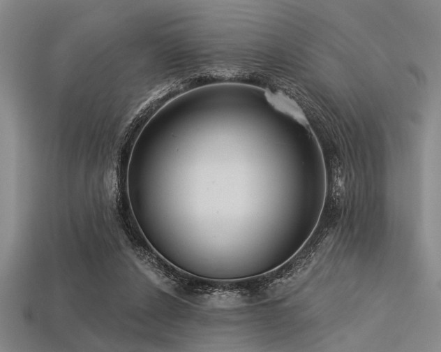 X0000113340256200909151137
