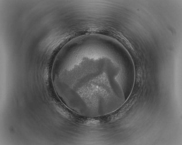 X0000113340257200909151137